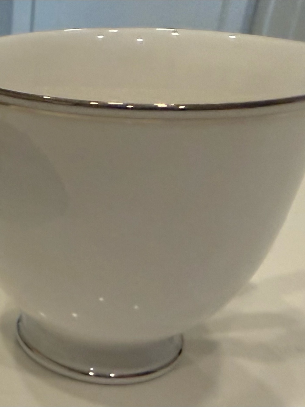 Lenox Federal Platinum Tea Cup with Silver Rim - Elegant Home Dining L
